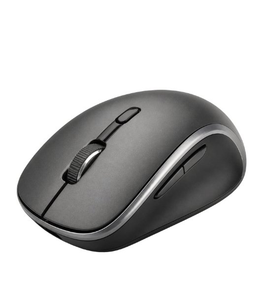 Computer Mouse